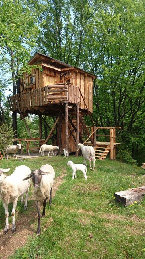 Treehouse Toplak Ruse Exterior foto