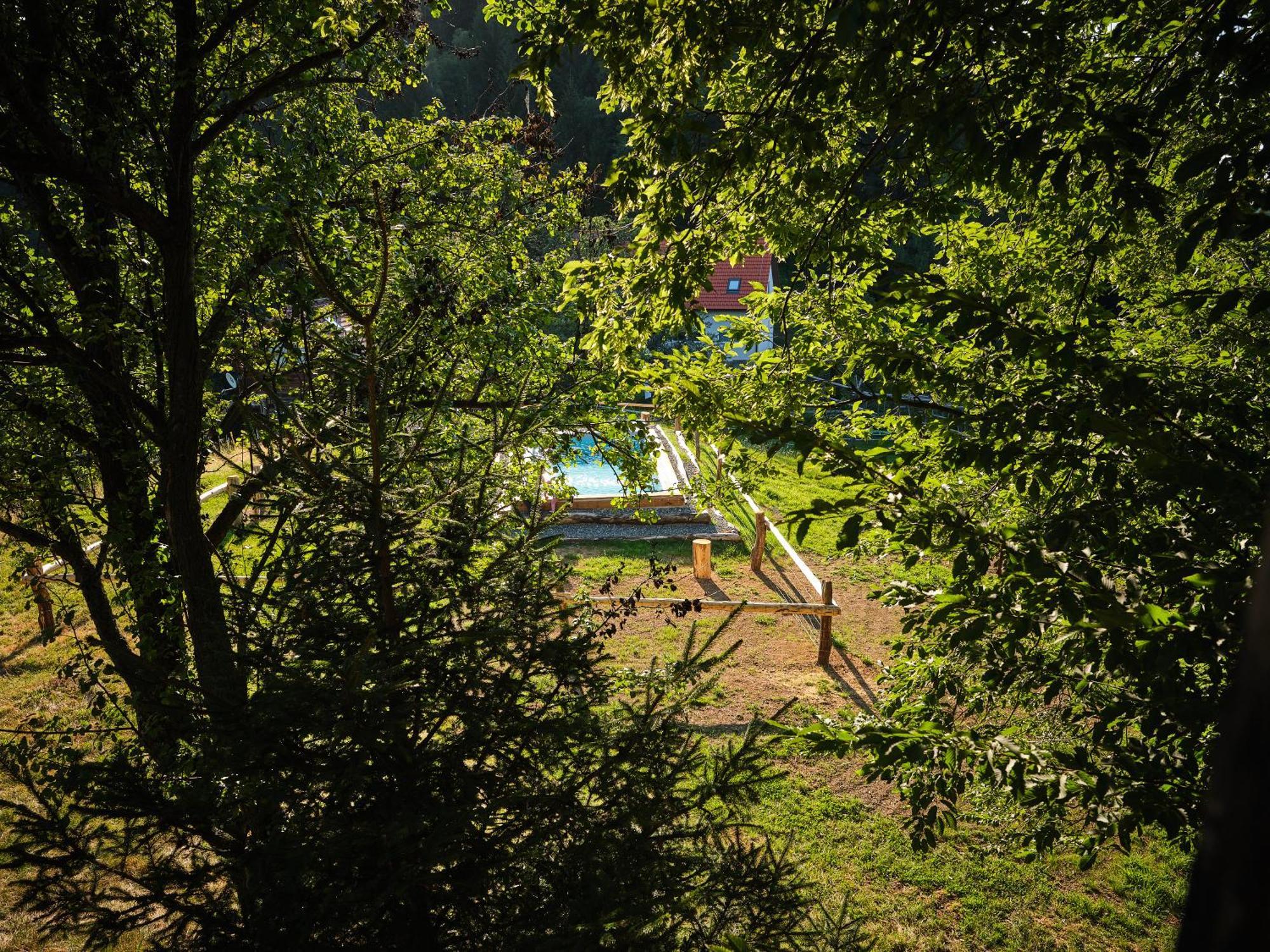 Treehouse Toplak Ruse Exterior foto