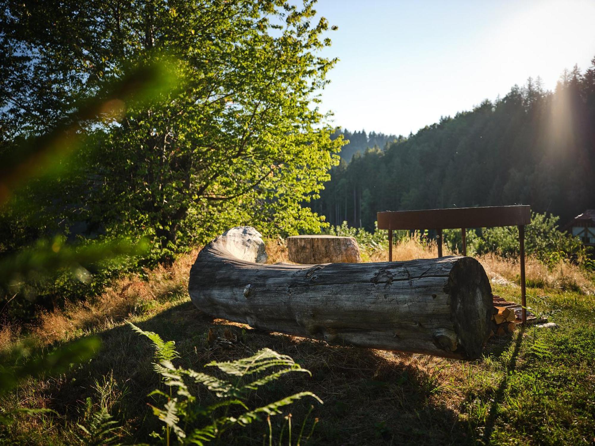 Treehouse Toplak Ruse Exterior foto